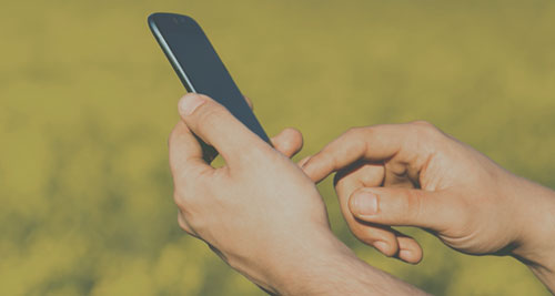 Increase your margins by providing telephone audio services
