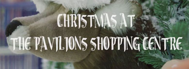 Santa comes to the Pavilions