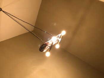 Skateboard Light
